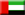 bandiera emirati arabi